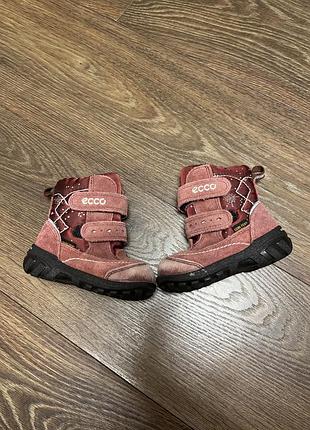 Брендові чобітки для малечі ecco gore- tex p20