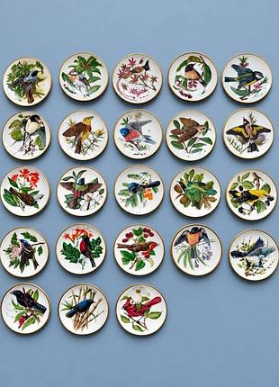 Міні-тарілка колекційна franklin porcelain “songbirds of the world”, 1981