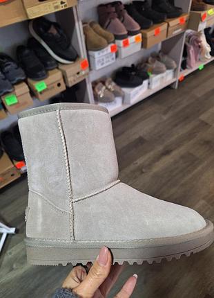 Уггі жіночі ugg сірі замшеві