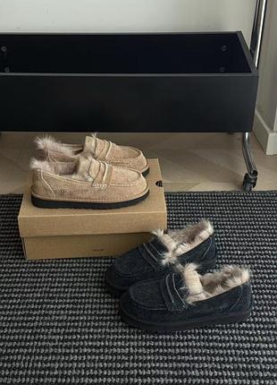 Уггі жіночі ugg tasman chestnut та dark grey