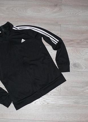 Олімпійка/кофта adidas 2