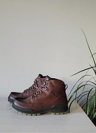 Ботинки кожаные оригинал ecco track 25 831704 гг.40,41,42