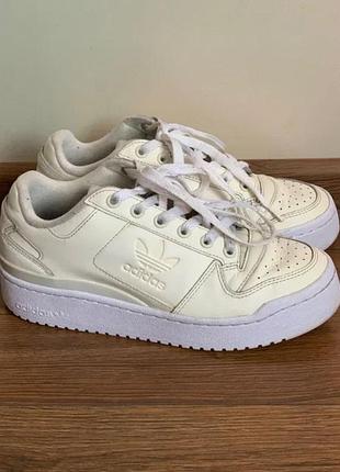 Кросівки жіночі adidas forum bold originals gy6990 білі