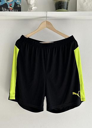 Чоловічі спортивні шорти puma it evotrg short pants
