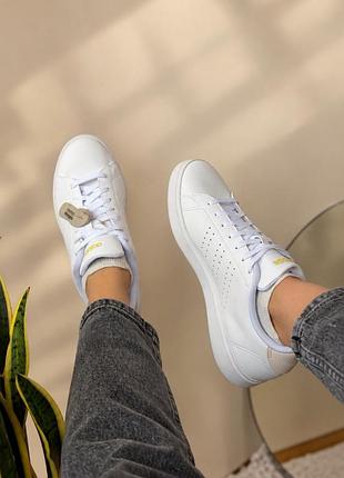 Кеди жіночі adidas білі