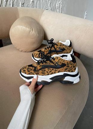Жіночі кросівки ash leopard | 36–39 5