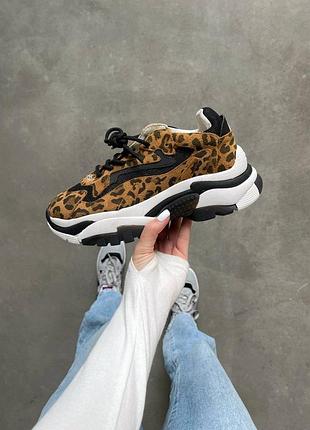 Жіночі кросівки ash leopard | 36–39 3
