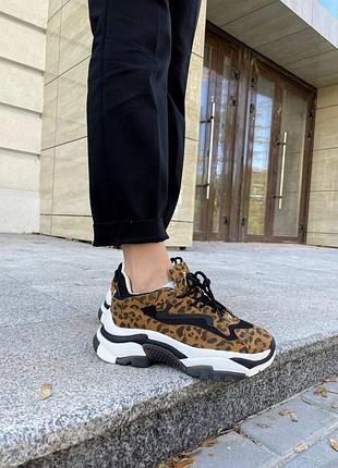 Жіночі кросівки ash leopard | 36–39 7