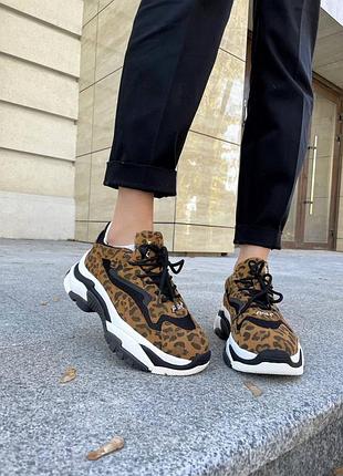 Жіночі кросівки ash leopard | 36–39 8