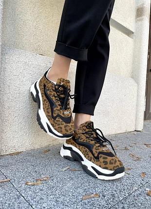 Жіночі кросівки ash leopard | 36–39 10