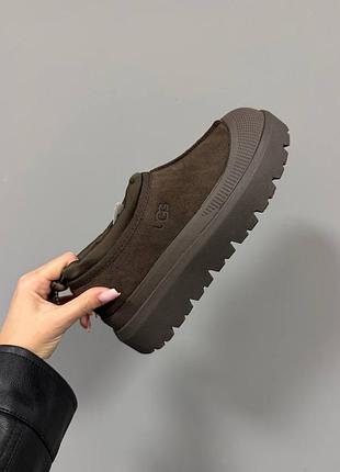 🩷 ugg tasman weather hybrid | chocolate brown premium 🤎