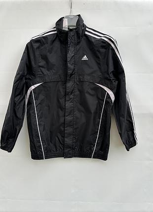 Вітровка adidas