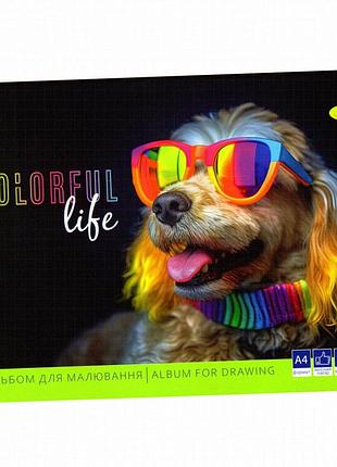 Альбом для рисования апельсин colorful life, формат а4, 30 листов