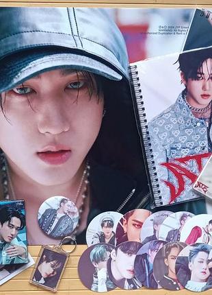Набор чан бин stray kids на 9 предметів 23369