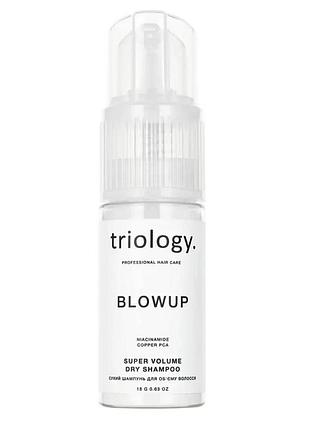 Шампунь сухий для об'єму волосся triology blowup 18 г (4823109705616)