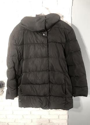 Zebra пуховик 50%/50% перо
