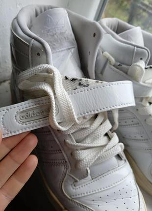 Кеди adidas оригінал жіночі 4