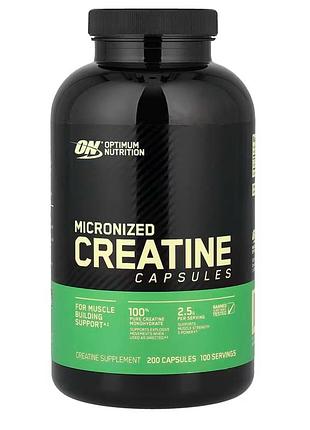 Optimum nutrition, мікронізований креатин у капсулах, 200 капсул (1,25 г у капсулі)