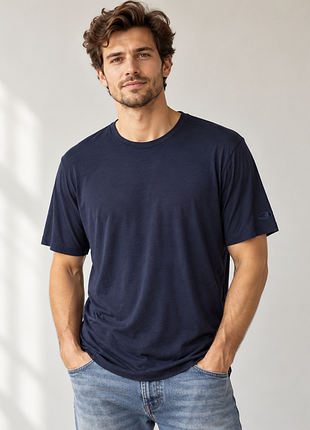 Футболка від бренду icebreaker merino wool 175
