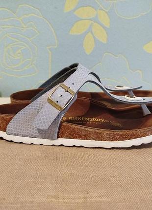 Босоніжки gizeh mf shiny python birkenstock 6
