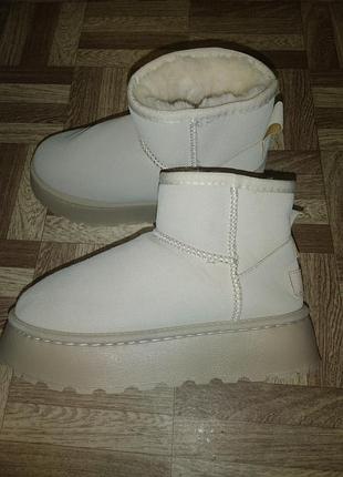 Новые угги р.36