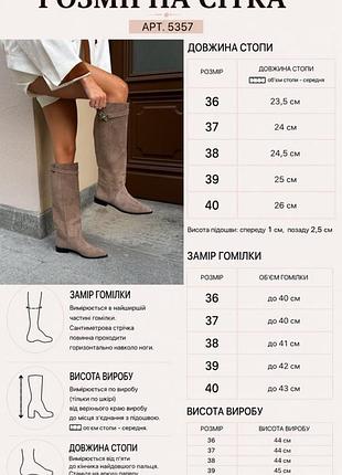 Сапоги жокейки 10