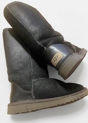 Ugg australia by jumbo 100% овчина / шкіряні