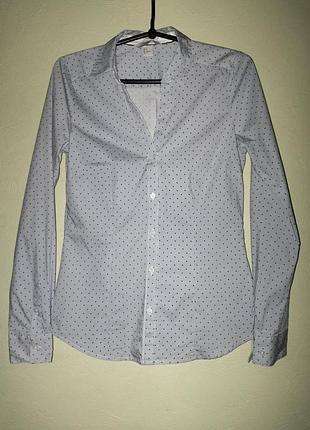Женская рубашка рубашка голубая в горошек h&amp;m