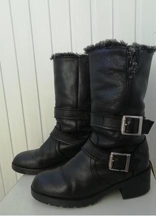 Жіночі черевики zara чорні 38 розмір 24.5 см