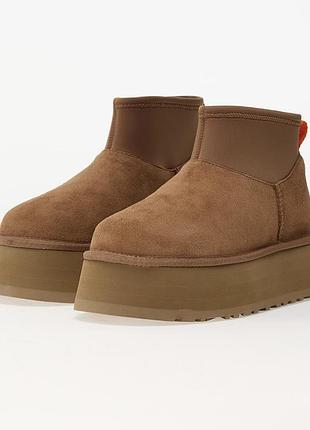 Черевики жіночі ugg classic ultra mini platform коричневі