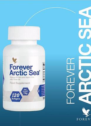 Форевер арктическое море | forever arctic sea