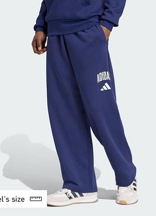 Спортивні штани чоловічі adidas collegiate pant сині розмір с