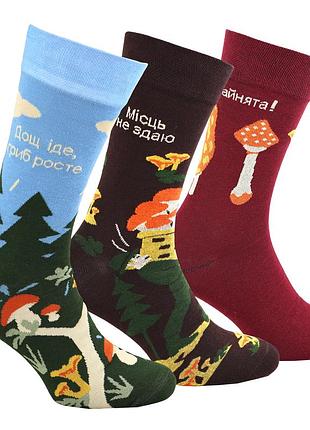 Набір шкарпеток для грибника premier socks — 3 пари, розм. 36-39, 40-42, 43-45