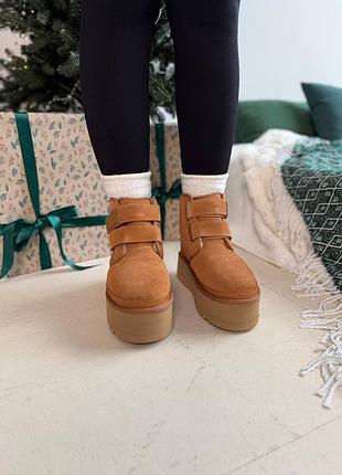 Женские угги ugg neumel platform chukka chestnut