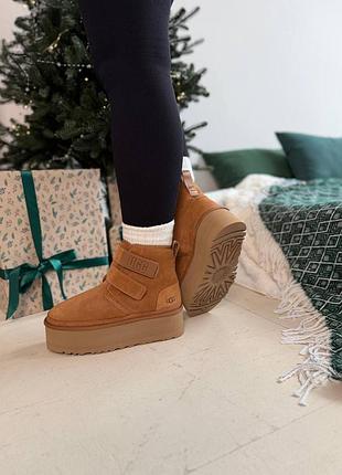 Женские угги ugg neumel platform chukka chestnut 5