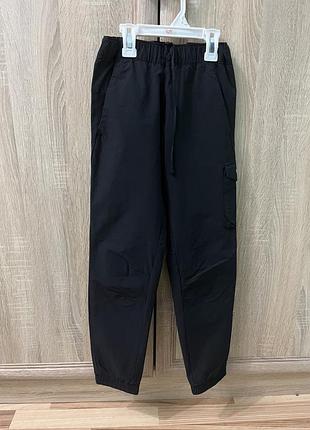 Спортивні штани the north face