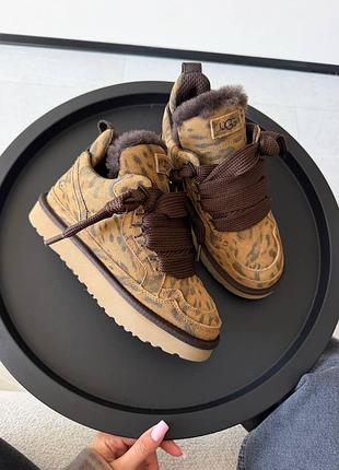 Кросівки/уггі  ugg lowmel sneakers |  leopard