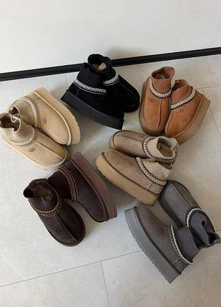 Уггі жіночі ugg tazz socks 36-41