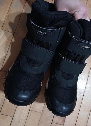 Зимние термо сапожки geox amphibiox 7