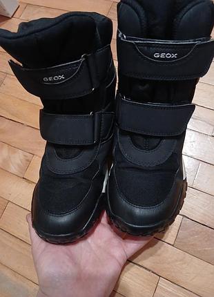 Зимние термо сапожки geox amphibiox 2