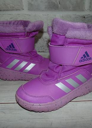 Термочобітки adidas winterplay 2