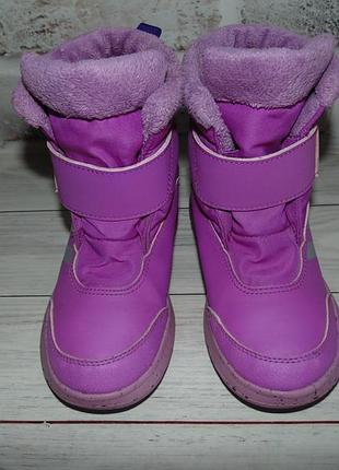 Термочобітки adidas winterplay 3