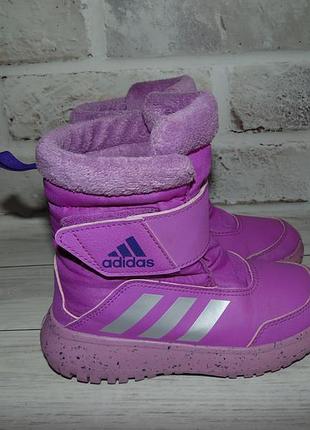 Термочобітки adidas winterplay 5
