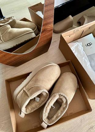 Уггі ugg замшеві