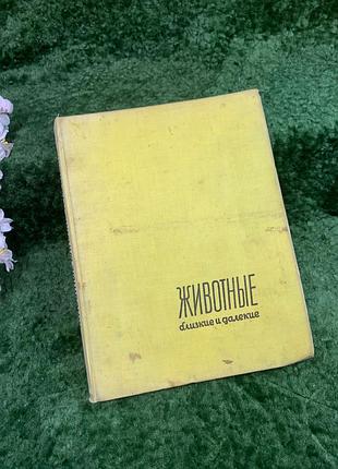 Книга-альбом «Животные близкие и далекие» - ян стичинский, ян лягушнисский, 1959 (н8322)