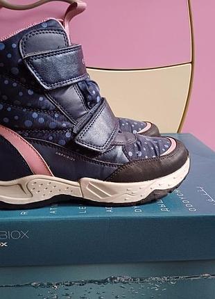 Черевики для дівчинки geox зимові синьо-рожеві