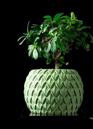 Горщік для розсади scale planter