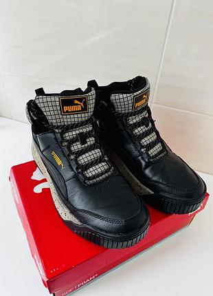 Puma tarrenz sb ii 5