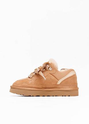Осінні кросівки для дівчини ugg lowmel sneaker beige 6