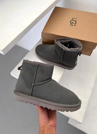 Ugg mini grey lux 4